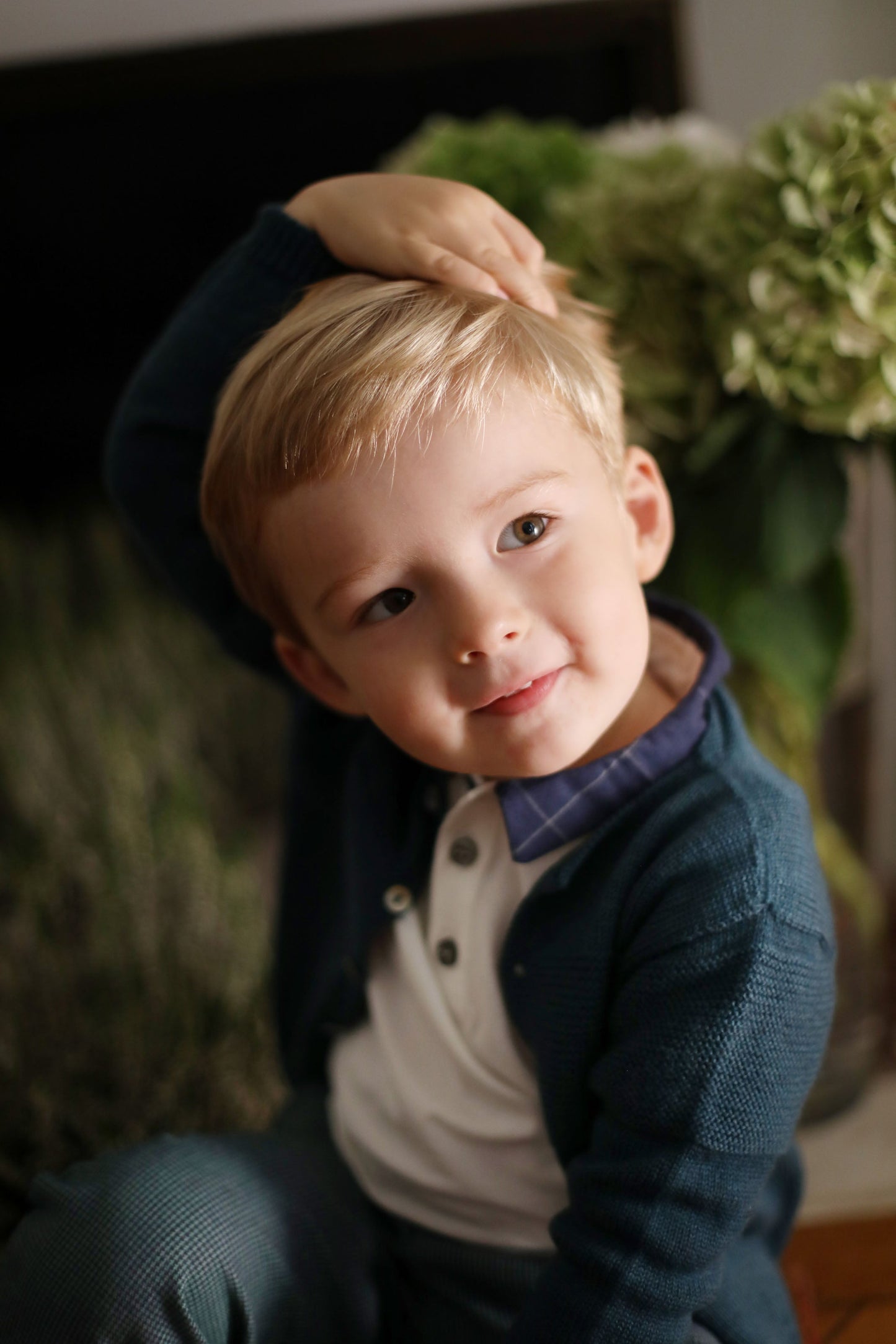 Cardigan Chevreuil vert sapin les enfantines