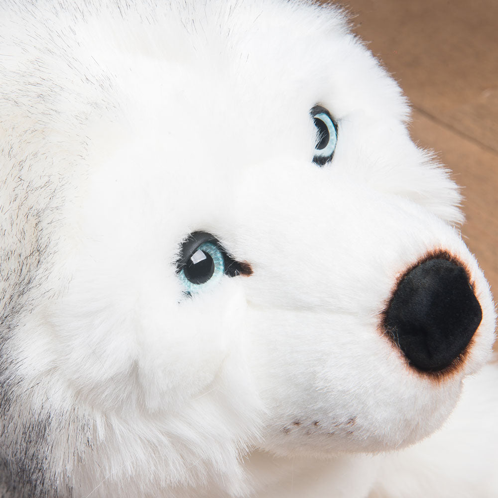 Peluche chien husky les enfantines