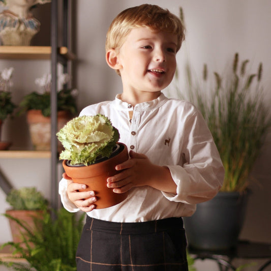 Blouse Bourdon carreaux camel Les Enfantines