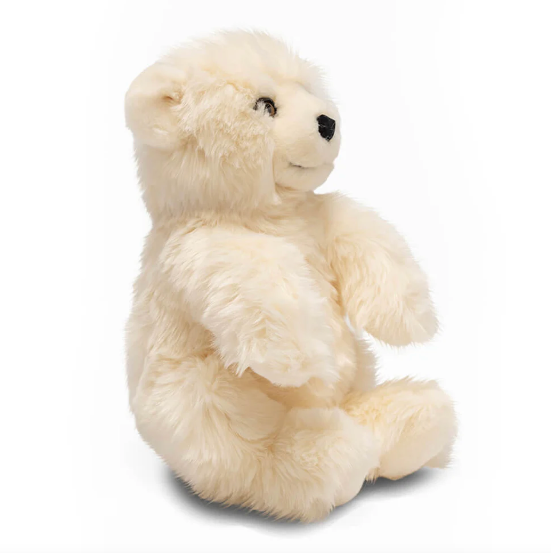 Peluche ours les enfantines