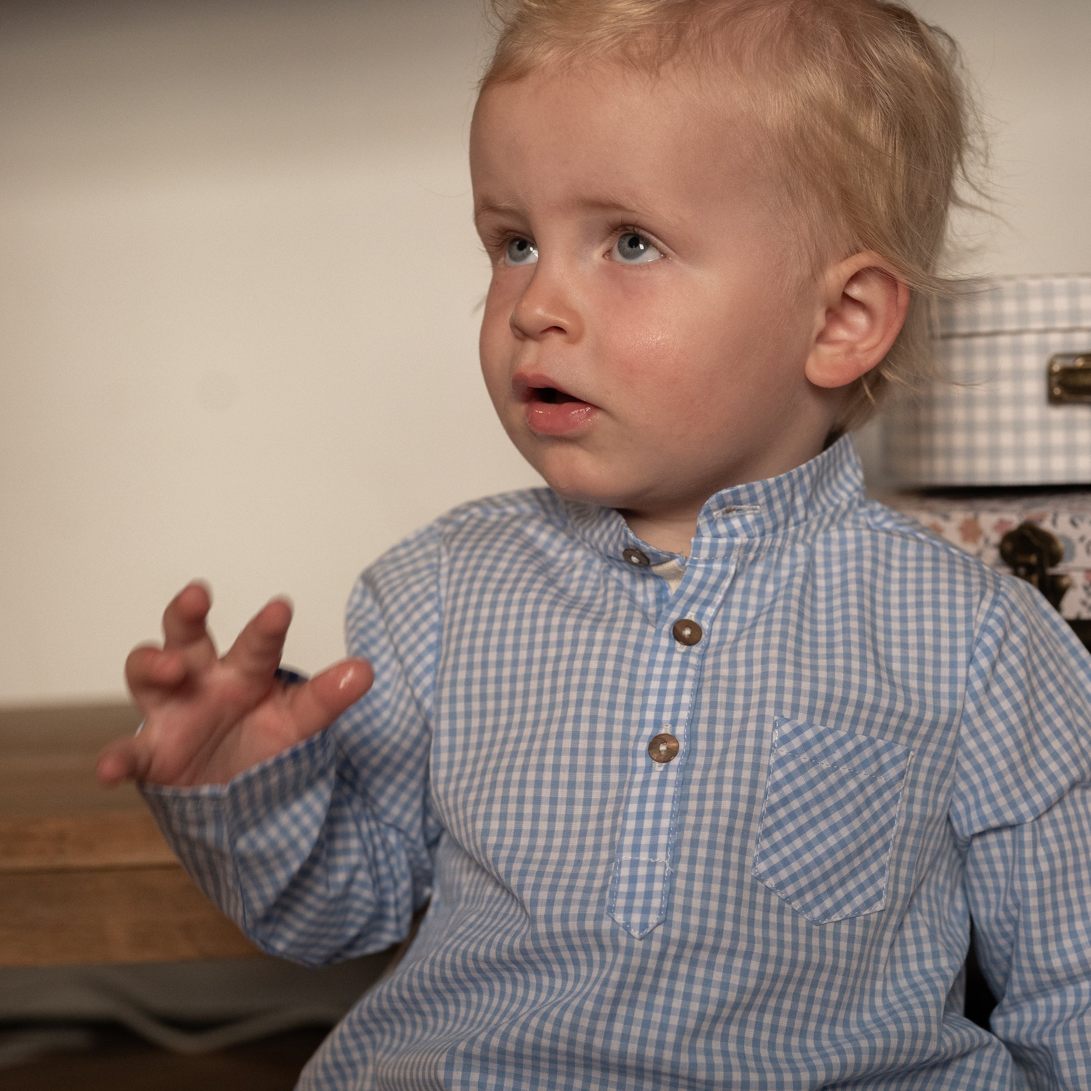 Blouse frelon Vichy bleu les enfantines