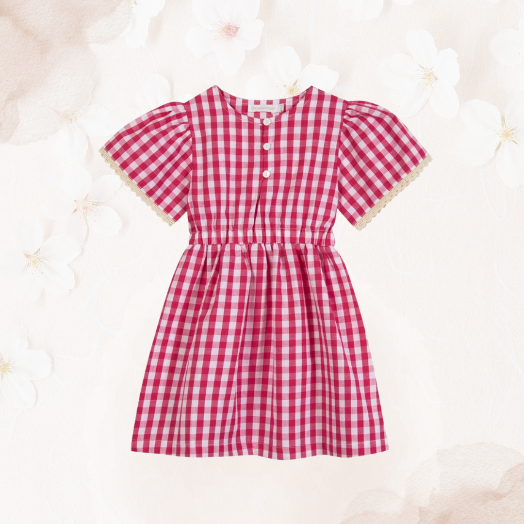 Robe Flamant Vichy Framboise