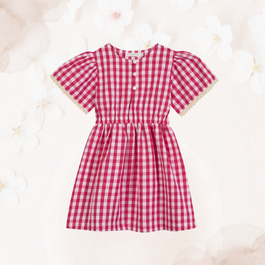 Robe Flamant Vichy Framboise