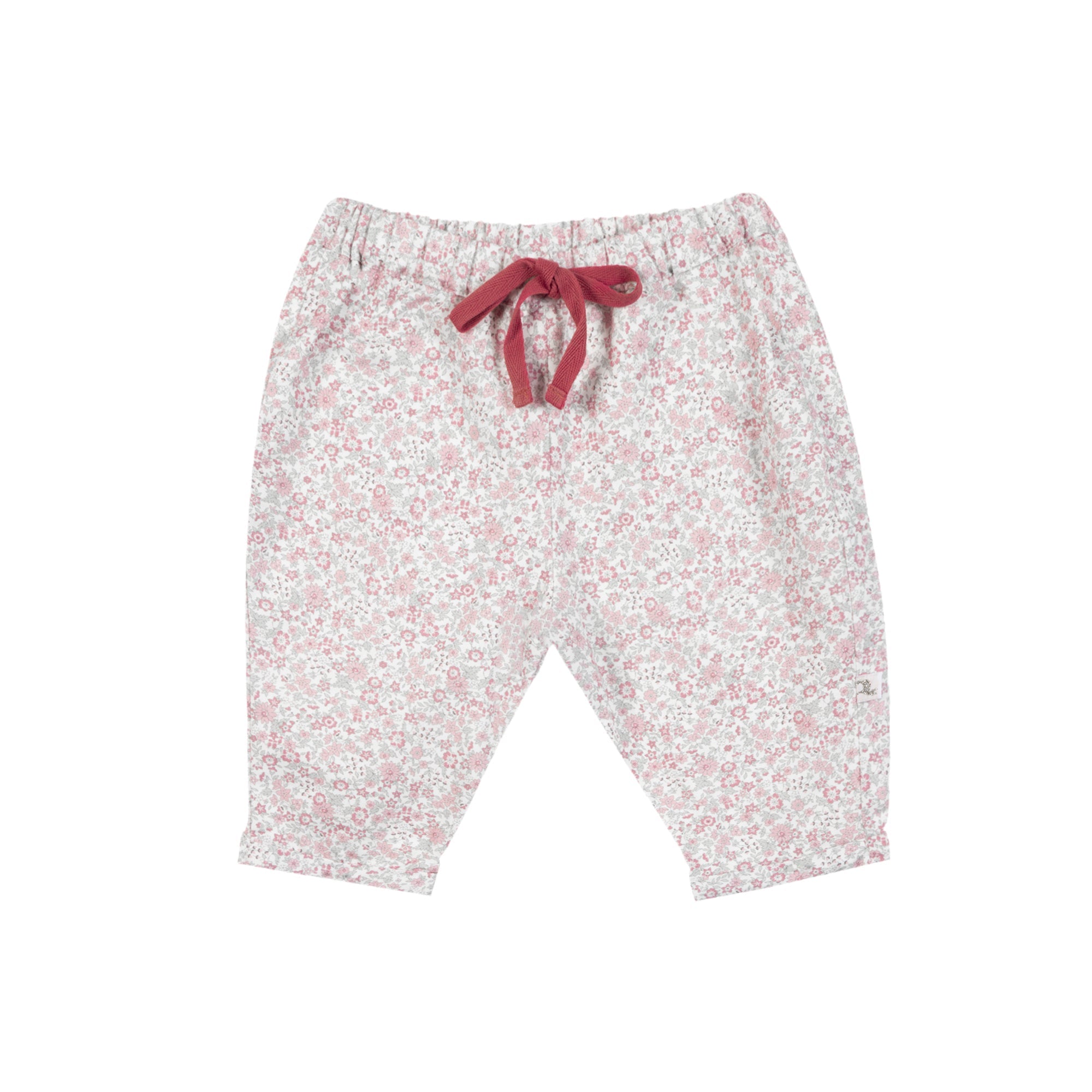 Sarouel Hérisson La Rosée Les Enfantines