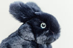 Peluche lapin les enfantines