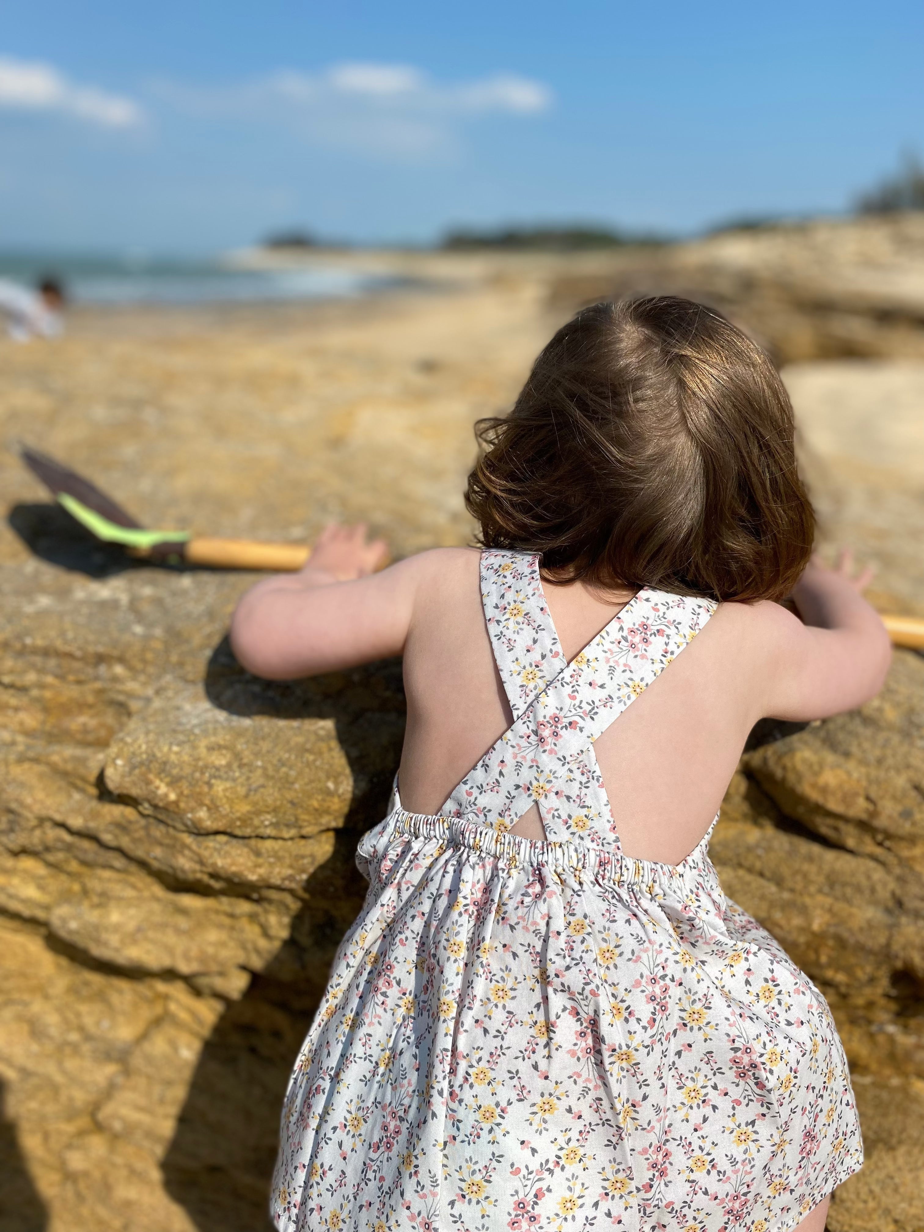 Top Anémone jardin d'été Les Enfantines